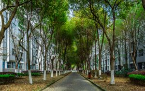 广东高考多少分报考文华学院？附2022-2024年最低录取分数线