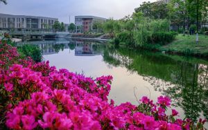 重庆526分考生可以报考哪些公办本科大学？（附带近三年526分大学录取名单）
