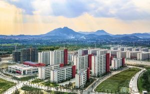 贵州高考多少分能考上山东圣翰财贸职业学院？2024年历史类313分 物理类250分