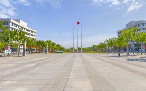 黑龙江529分左右的考生可以报考哪些大学？