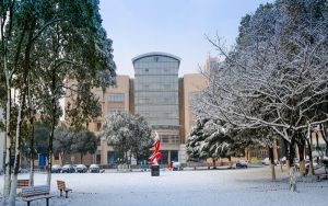 湖北536分考生可以报考哪些本科大学？（附带2022-2024年536录取名单）