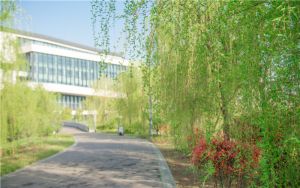 辽宁548分考生都可以填报哪些大学？ 2025年高考可以填报10所大学