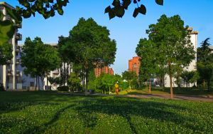 陕西高考多少分能考上武汉晴川学院？2024年文科401分 理科投档线426分