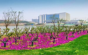 天津考生多少分能上上海交通大学医学院？附2022-2024年最低录取分数线
