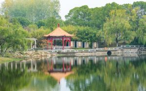 河南高考多少分报考长春财经学院？附2022-2024年最低录取分数线