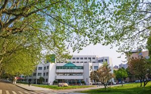 上海高考多少分能录取中国石油大学（北京）克拉玛依校区？2024年综合投档线498分