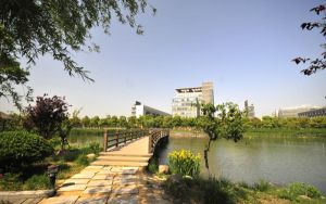 宁夏高考多少分报考大连汽车职业技术学院？2024年文科352分 理科271分