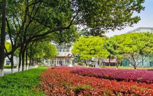 陕西高考多少分能上金陵科技学院？2024年文科投档线471分 理科最低465分