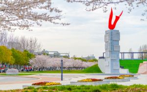 广东563分考生都可以填报哪些大学？ 2025年高考可以填报44所大学