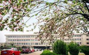 北京高考多少分报考山东电力高等专科学校？2024年综合246分