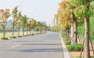 晋中信息学院在宁夏最低录取分数线和招生计划公布！