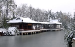 养鸡有秘方 平水五黑鸡走红市场