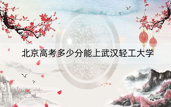 北京高考多少分能上武汉轻工大学？2024年综合最低508分