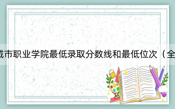 2024年江苏城市职业学院最低录取分数线和最低位次(全国各省录取汇总)