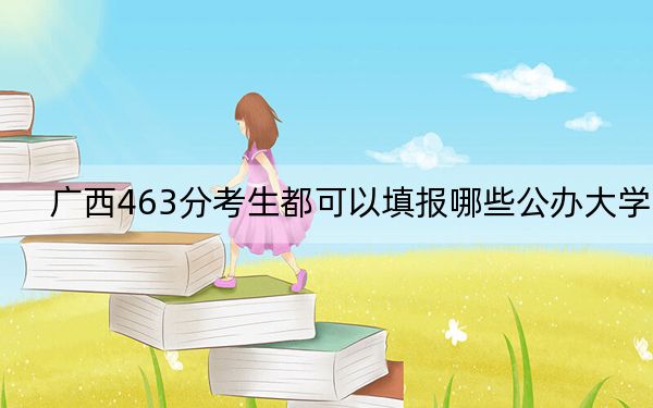 广西463分考生都可以填报哪些公办大学？（附带近三年463分大学录取名单）