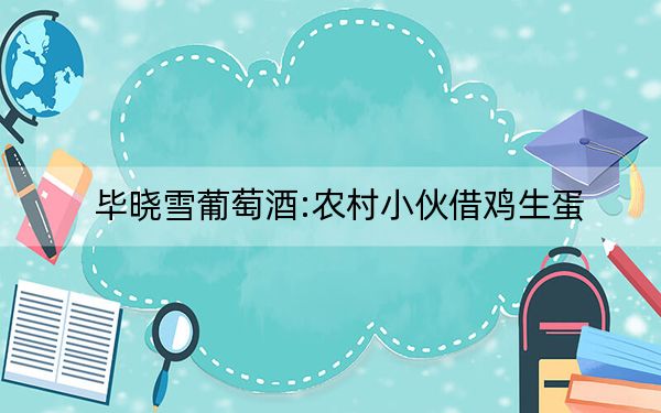 毕晓雪葡萄酒:农村小伙借鸡生蛋