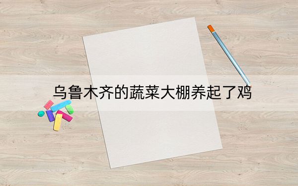 乌鲁木齐的蔬菜大棚养起了鸡