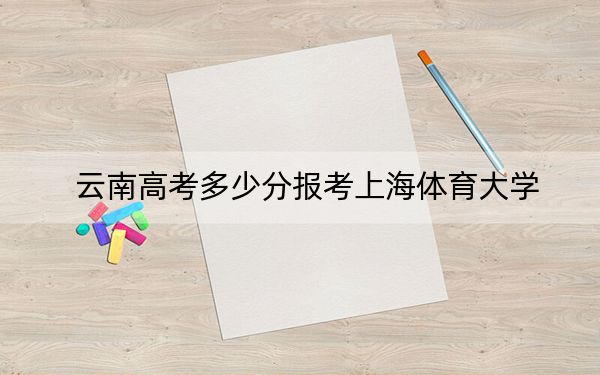 云南高考多少分报考上海体育大学？2024年文科564分 理科录取分505分