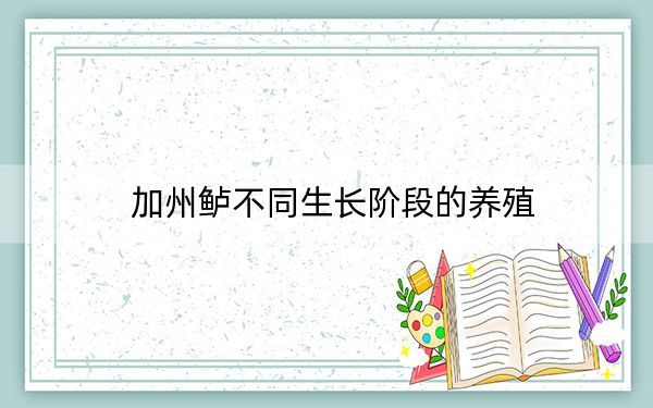 加州鲈不同生长阶段的养殖