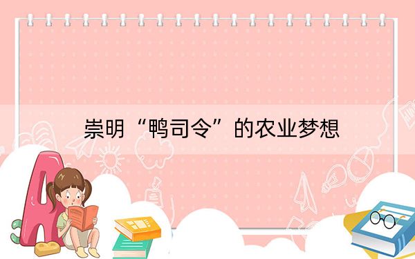 崇明“鸭司令”的农业梦想