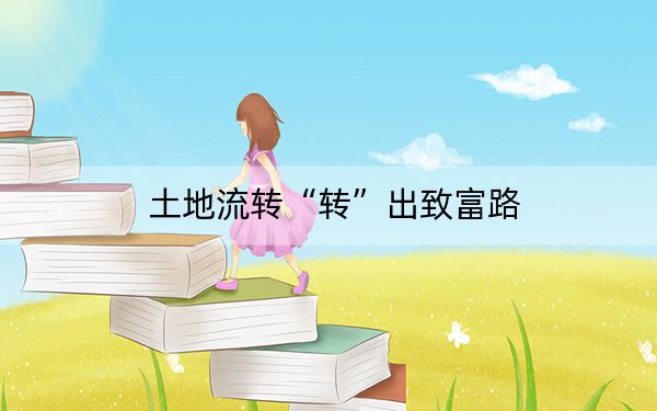 土地流转“转”出致富路