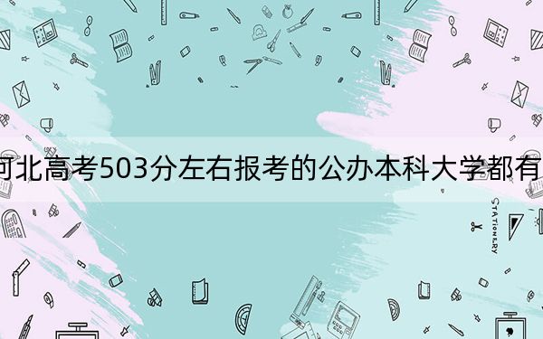 河北高考503分左右报考的公办本科大学都有哪些？