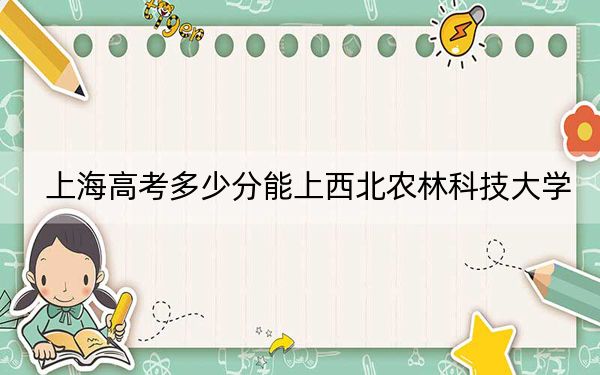 上海高考多少分能上西北农林科技大学？2024年综合最低分528分