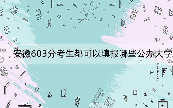 安徽603分考生都可以填报哪些公办大学？ 2024年有37所录取最低分603的大学(2)