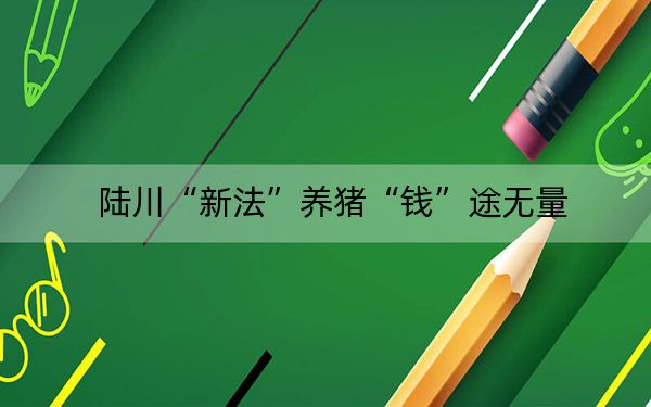 陆川“新法”养猪“钱”途无量