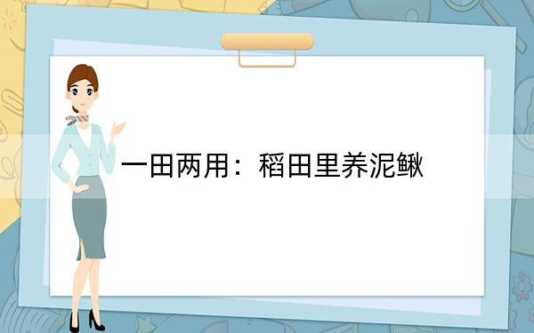一田两用：稻田里养泥鳅