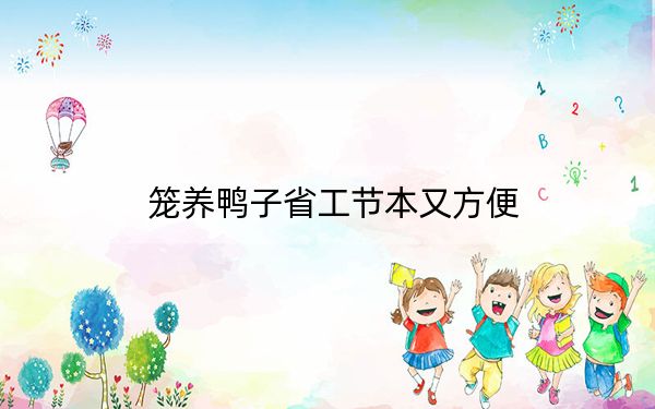 笼养鸭子省工节本又方便