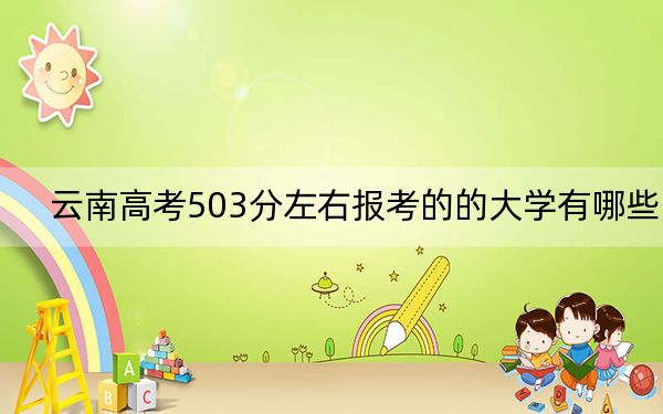 云南高考503分左右报考的的大学有哪些？ 2025年高考可以填报34所大学