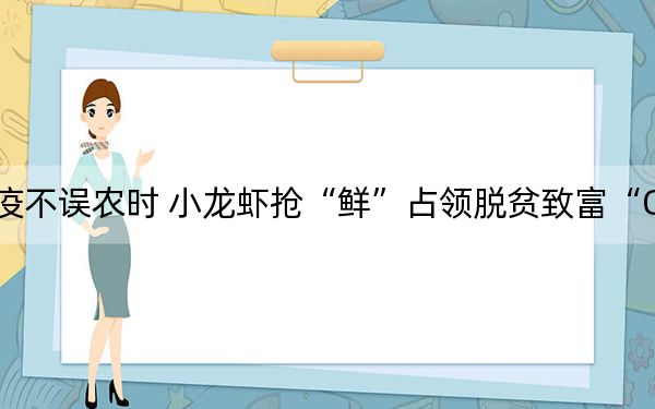 防疫不误农时 小龙虾抢“鲜”占领脱贫致富“C位”