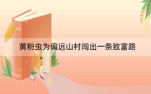 黄粉虫为偏远山村闯出一条致富路