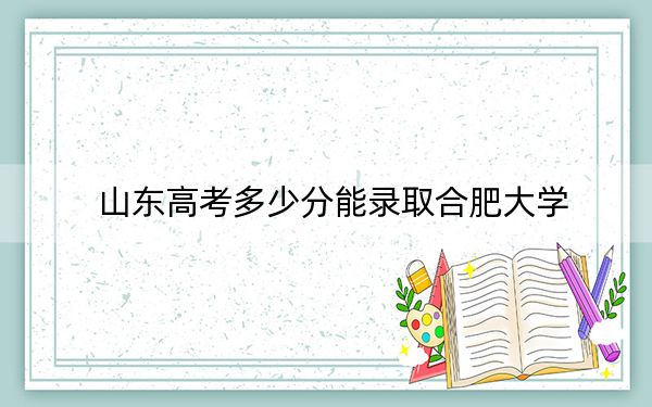 山东高考多少分能录取合肥大学？2024年综合最低分516分