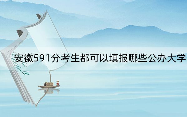 安徽591分考生都可以填报哪些公办大学？ 2024年有45所录取最低分591的大学