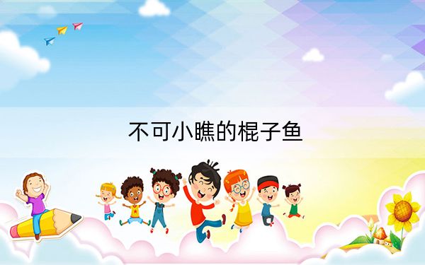 不可小瞧的棍子鱼