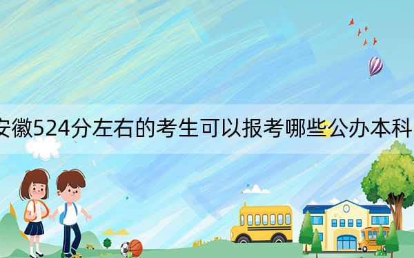 安徽524分左右的考生可以报考哪些公办本科大学？ 2024年高考有57所524录取的大学