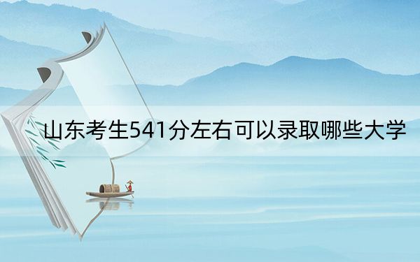 山东考生541分左右可以录取哪些大学？（供2025年考生参考）