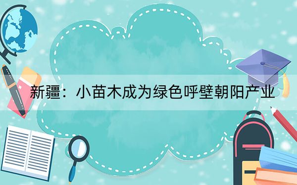 新疆：小苗木成为绿色呼壁朝阳产业