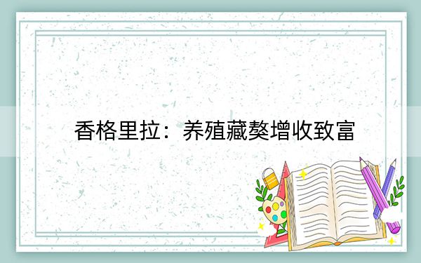 香格里拉：养殖藏獒增收致富