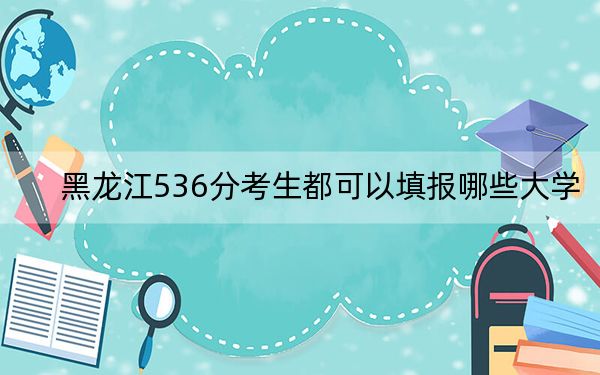 黑龙江536分考生都可以填报哪些大学？ 2024年录取最低分536的大学