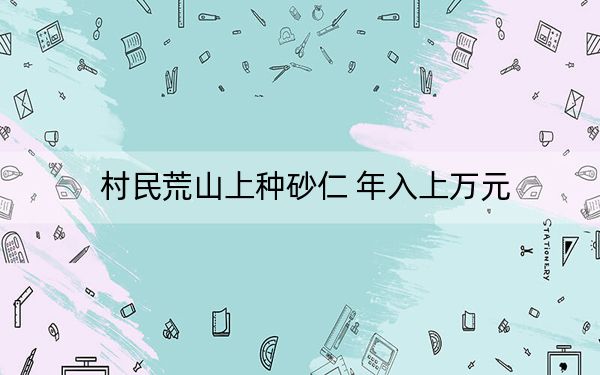 村民荒山上种砂仁 年入上万元