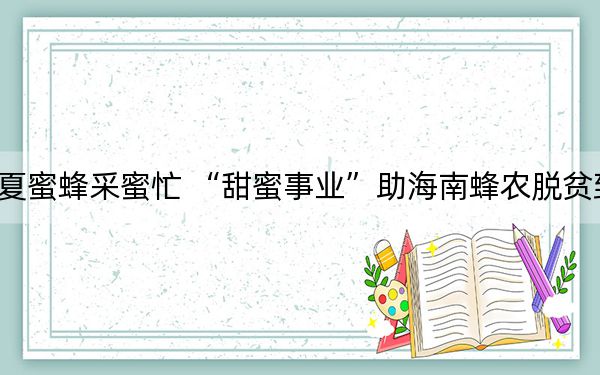初夏蜜蜂采蜜忙 “甜蜜事业”助海南蜂农脱贫致富
