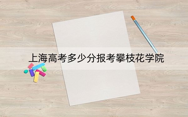 上海高考多少分报考攀枝花学院？附2022-2024年最低录取分数线