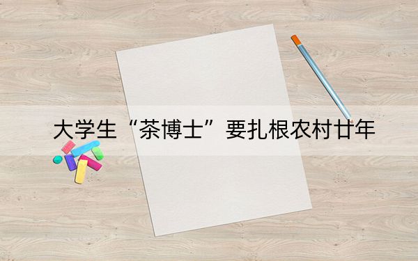 大学生“茶博士”要扎根农村廿年