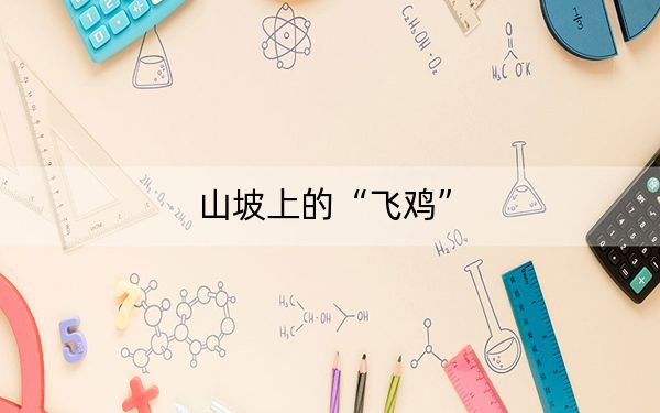 山坡上的“飞鸡”