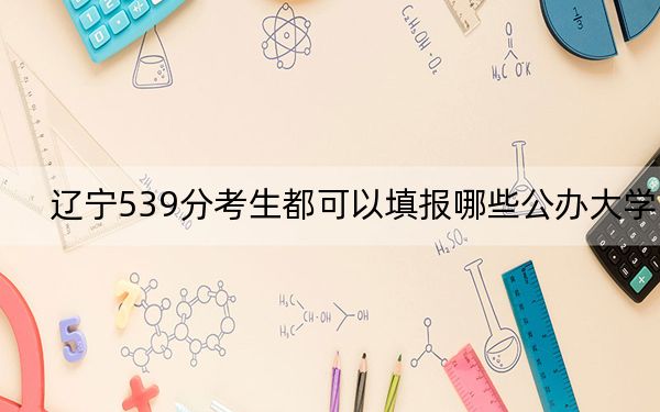 辽宁539分考生都可以填报哪些公办大学？ 2025年高考可以填报26所大学