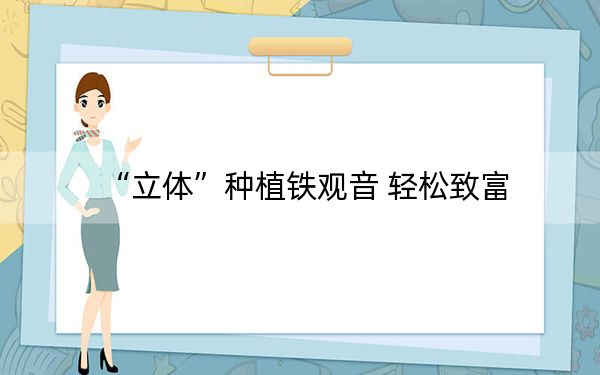 “立体”种植铁观音 轻松致富