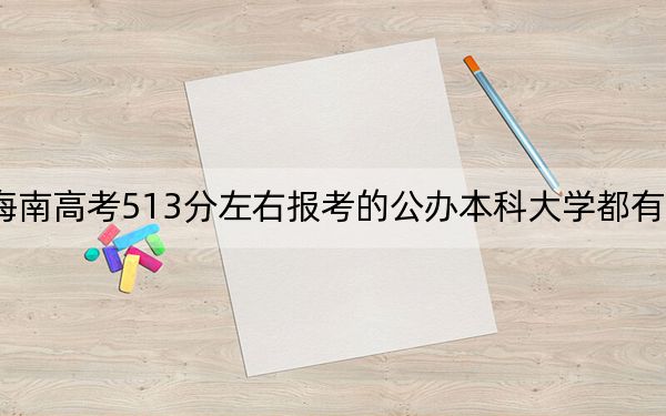 海南高考513分左右报考的公办本科大学都有哪些？